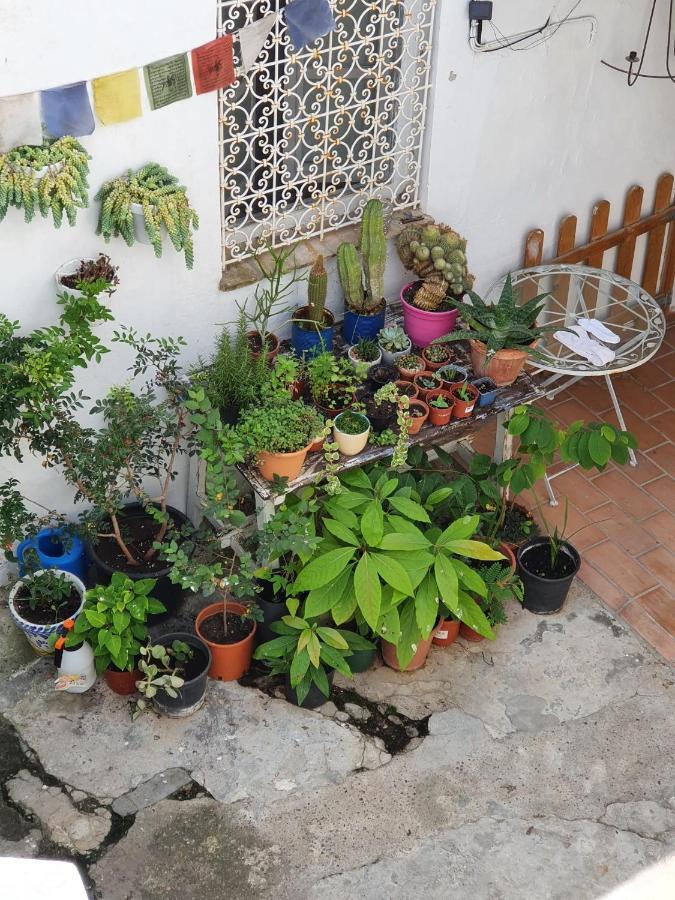 Casa Vera Vejer de la Frontera Exterior photo